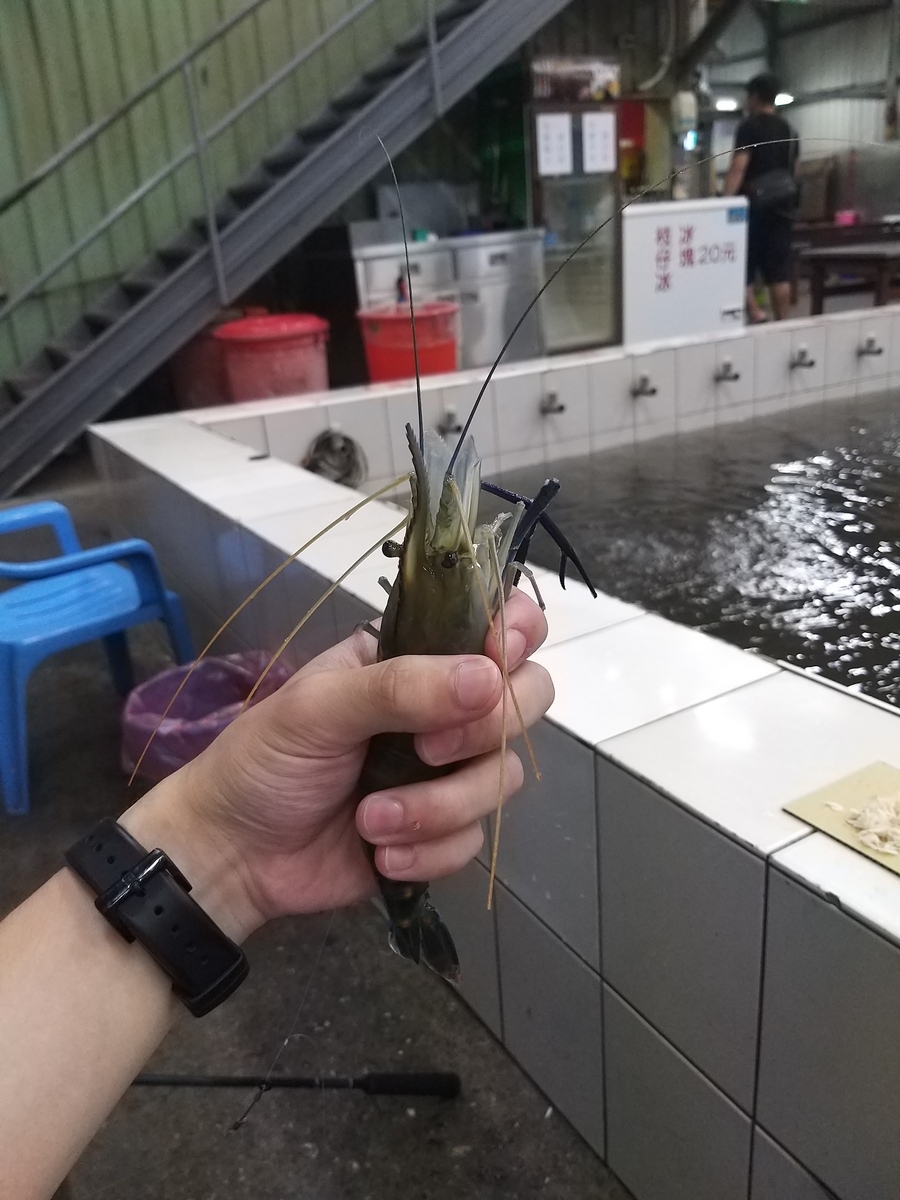 A Unique Taiwan Experience: Indoor Shrimp Fishing (Part 2)